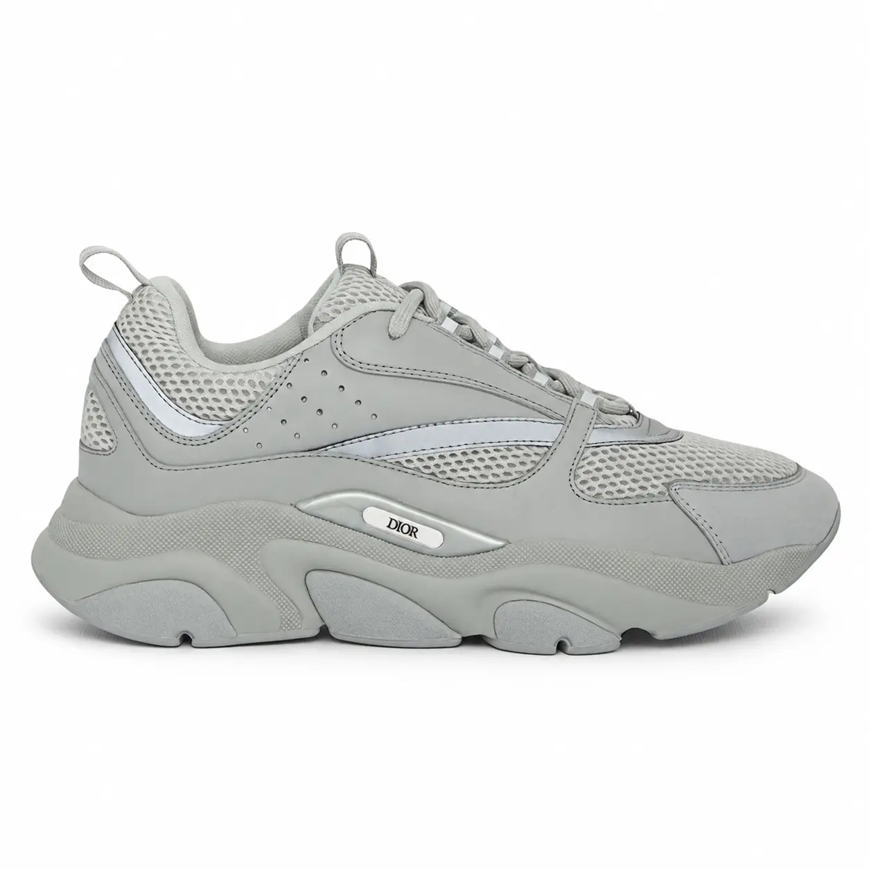 Dior B22 Grey