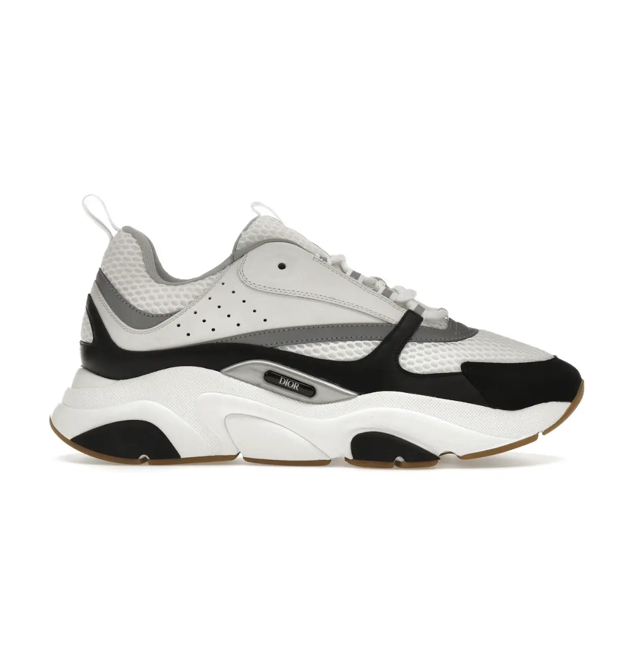 Dior B22 White/Black