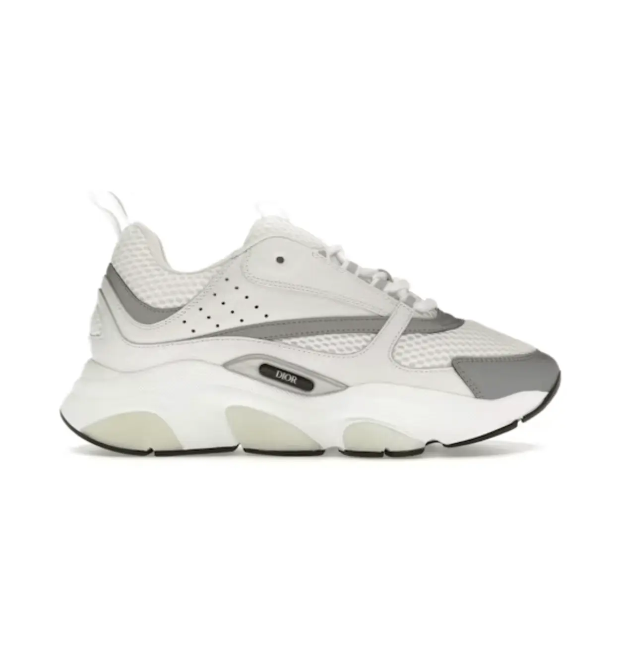 Dior B22 White/Silver